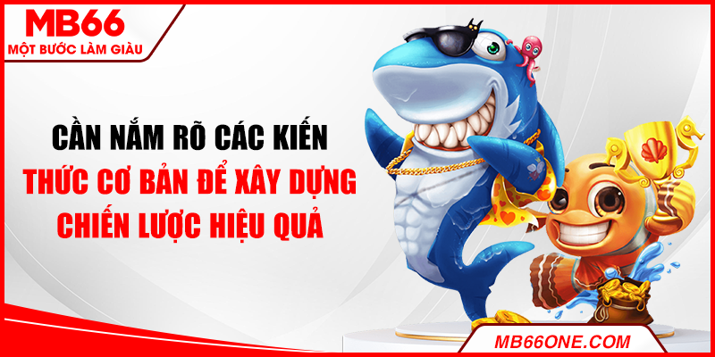 Cần nắm rõ các kiến thức cơ bản để xây dựng chiến lược hiệu quả