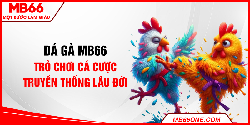 Đá gà MB66 - Trò chơi cá cược truyền thống lâu đời