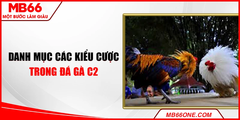 Danh mục các kiểu cược trong đá gà C2