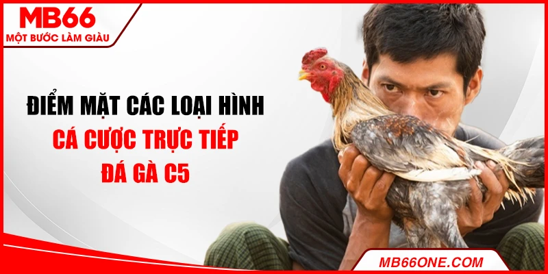 Điểm mặt các loại hình cá cược trực tiếp đá gà C5