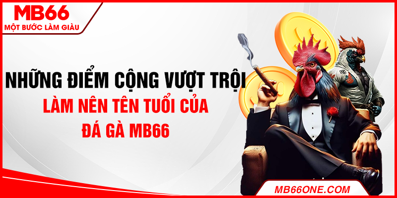 Những điểm cộng vượt trội làm nên tên tuổi của đá gà MB66