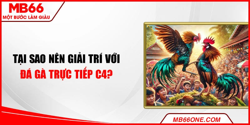Tại sao nên giải trí với đá gà trực tiếp C4?