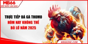 Trực tiếp đá gà Thomo hôm nay không thể bỏ lỡ năm 2025