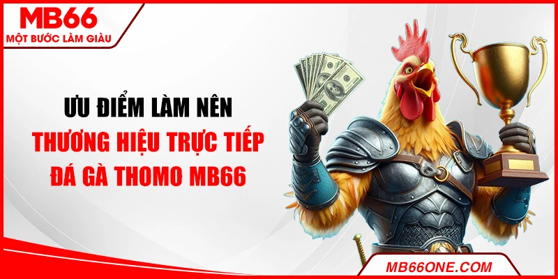Ưu điểm làm nên thương hiệu trực tiếp đá gà thomo MB66