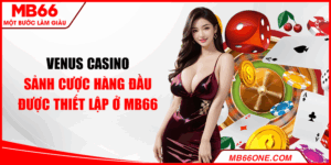 Venus casino - Sảnh cược hàng đầu được thiết lập ở MB66