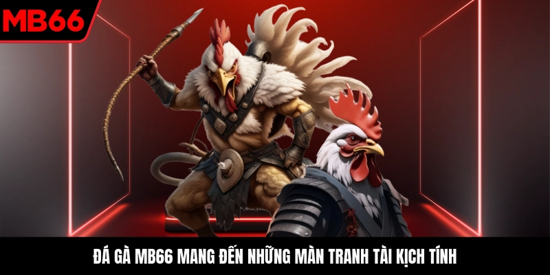 Đá gà MB66 mang đến những màn tranh tài kịch tính