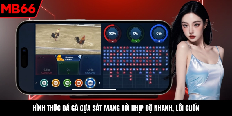 Hình thức đá gà cựa sắt mang tới nhịp độ nhanh, lôi cuốn
