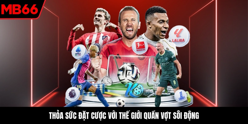Thỏa sức đặt cược với thế giới quần vợt sôi động